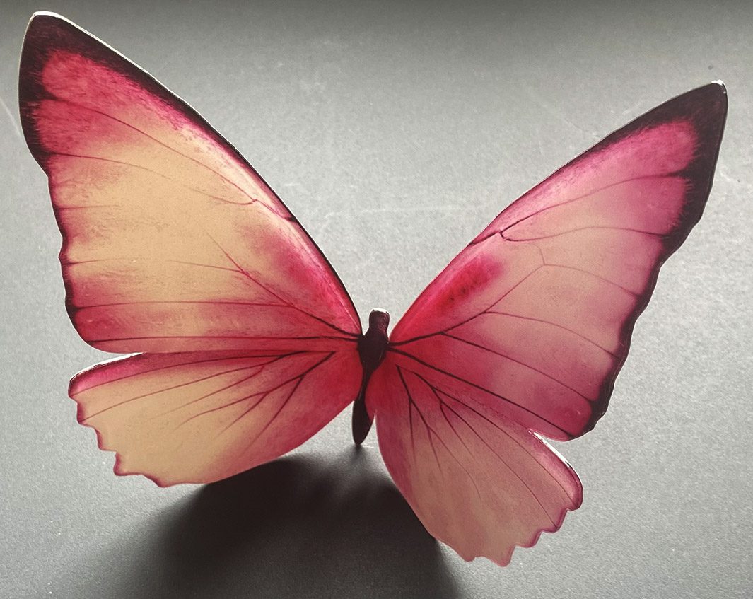 IMPRESSION NUMERIQUE